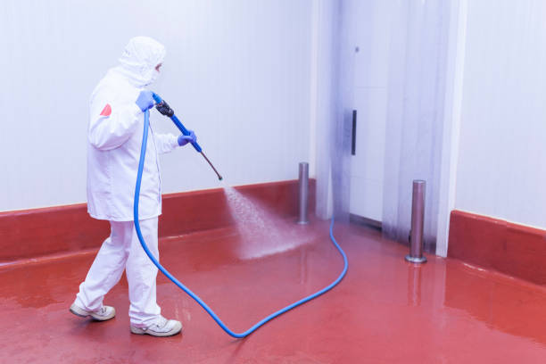 Best Playground Equipment Cleaning  in Long Beach, MD